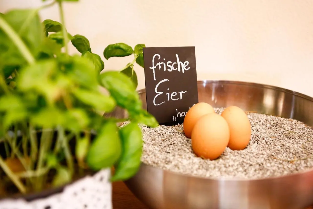 Rosi Boutique Hotel Regensburg Tyskland